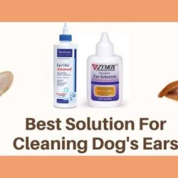 Cort astrin solution for dogs ears