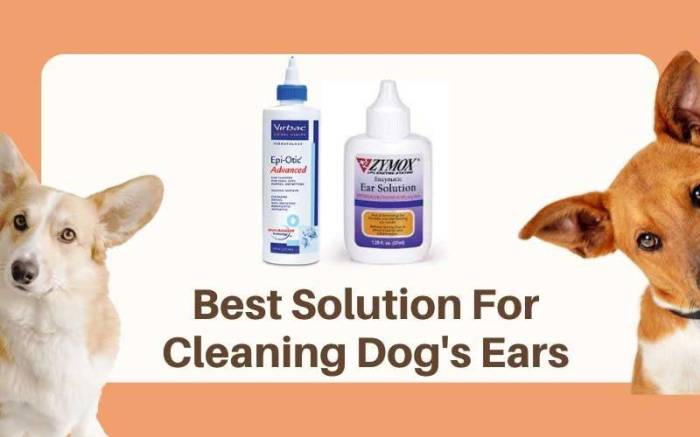 Cort astrin solution for dogs ears