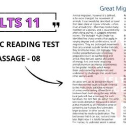 Unit 6 global migrations answer key