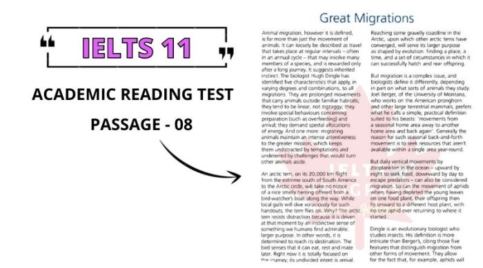 Unit 6 global migrations answer key