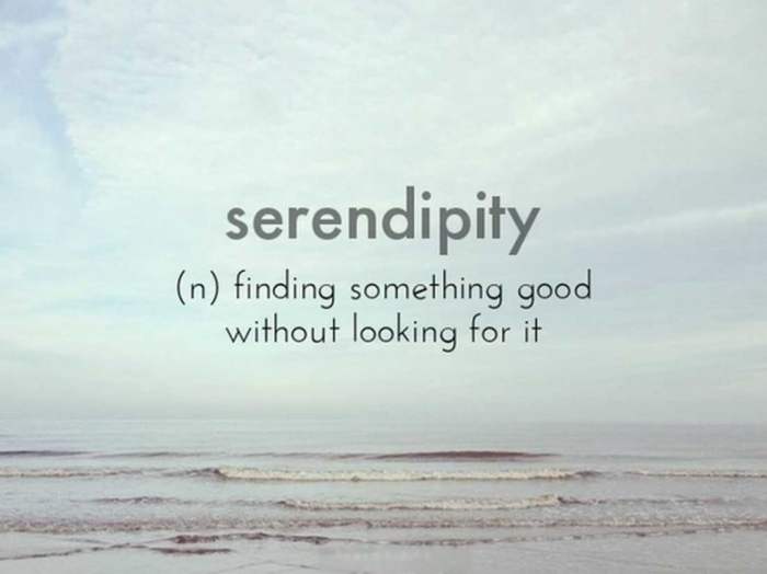 Serendipitous serendipity liz