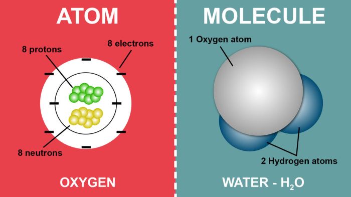 Atomic composition of molecules quick check