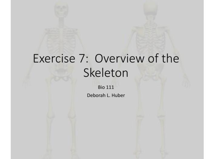 Exercise 7 review sheet overview of the skeleton