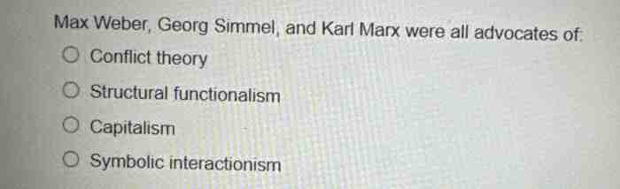 Max weber georg simmel and karl marx