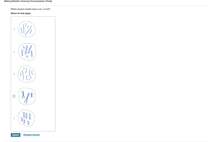Biology which student following models would answers questions